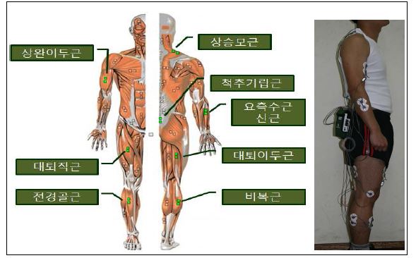 그림 1-8. 근전도 부착 위치