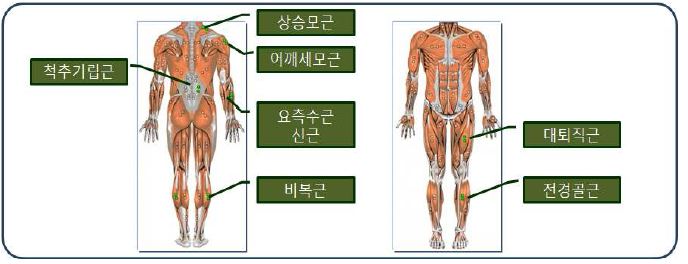 그림 1-10. 근전도 부착위치