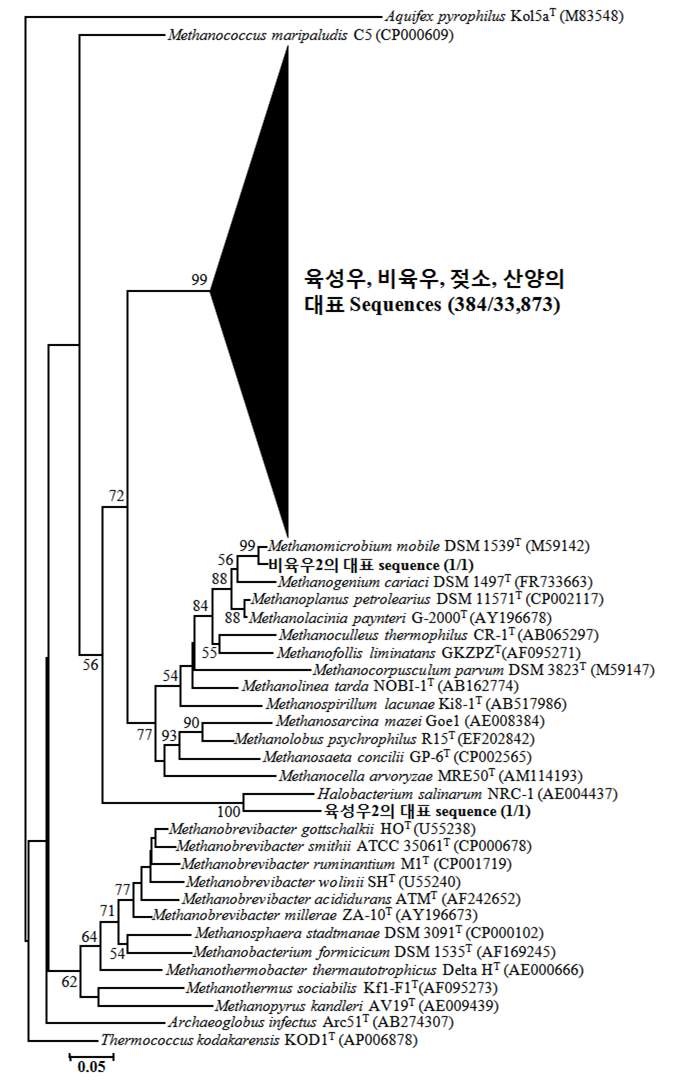 그림 10. 반추위 내 고세균 대표 sequence들의 계통학적 tree.