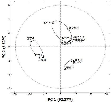 그림 12. NMR 자료의 주성분분석