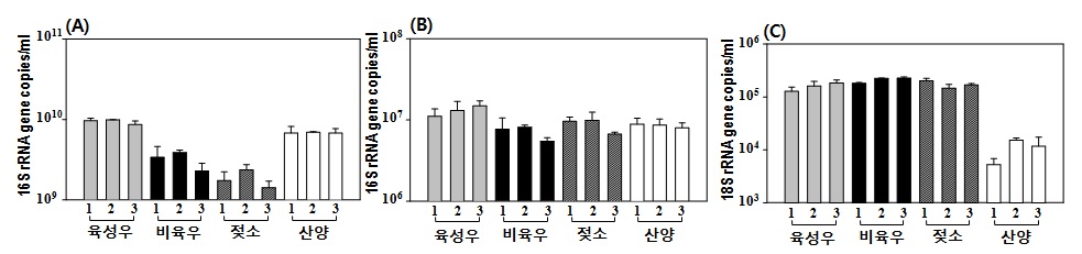 그림 13. 반추위 내 시료별 세균, 고세균, 그리고 원생동물 정량 분석.