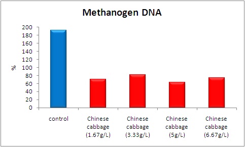 그림 40. Methanogen DNA 생산량