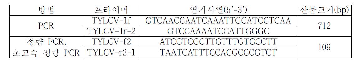 토마토황화잎말림병 진단용 프라이머