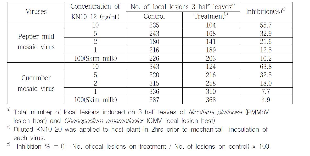 Absorption effect of KN10-20 to the inside of the leaf tissue. Dilutions of KN10-20 were applied on the backside of half leaf of host plants (N. glutinosa or C. amaranticolor ) and viruses (PMMoV or CMV) were inoculated on the upside of leaves, respectively.