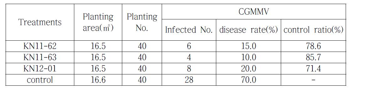 Control effects of KN11-62, KN11-63 and KN12-01 against CGMMV infection on the cucumber of the field.