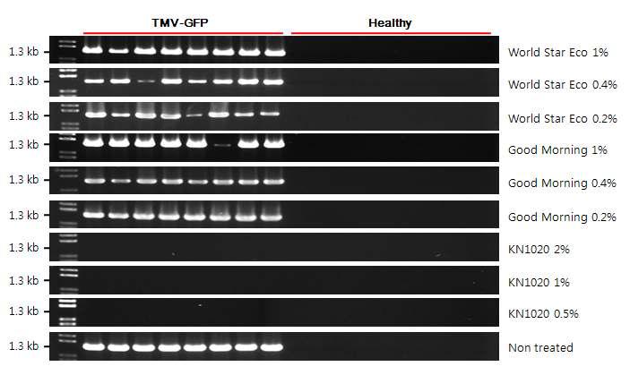 RT-PCR analysis of the leaf discs of Nicotiana benthamina infected with TMV-GFP after treatment with the anti-viral agents.