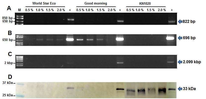 RT-PCR and western blot analyses of the leaf discs of Nicotiana benthamina infected with PepMoV-GFP after treatment with the anti-viral agents.