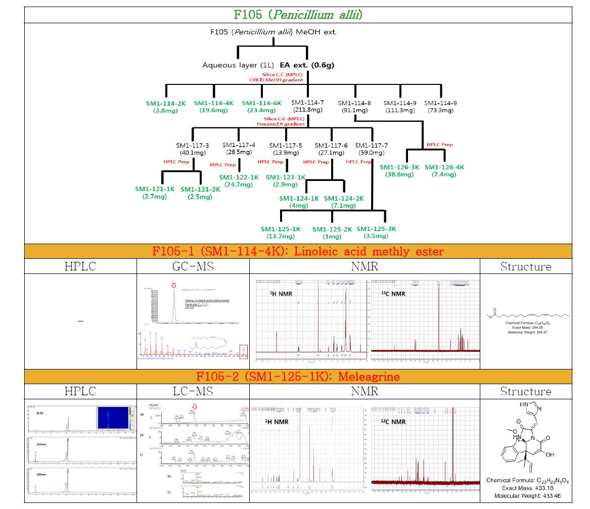 Isolation and identification of compounds from Penicillium allii