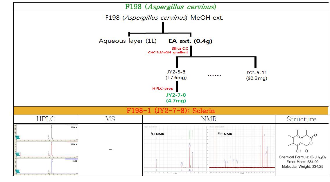 Isolation and identification of compounds from Aspergillus cervinus