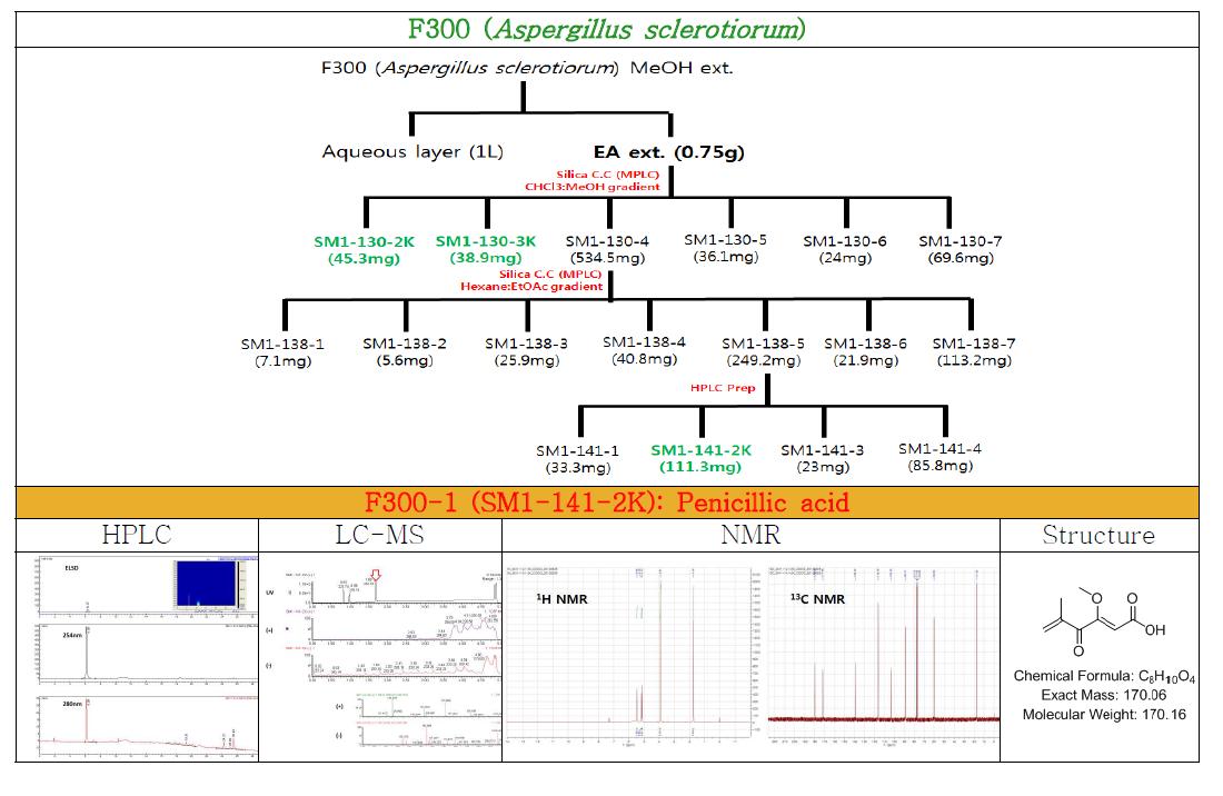 Isolation and identification of compounds from Aspergillus sclerotiorum