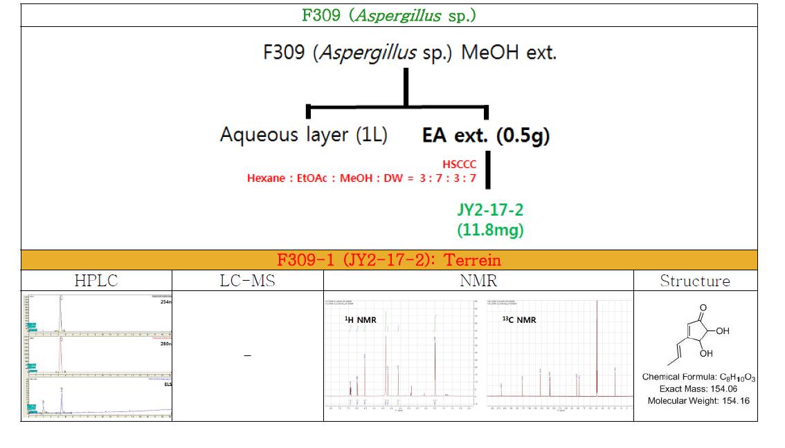 Isolation and identification of compounds from Aspergillus sp.