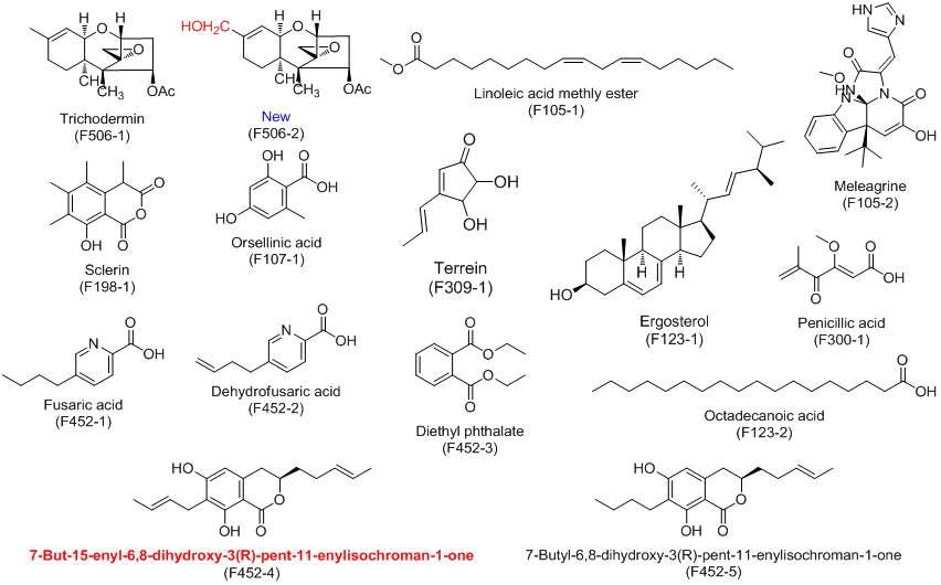 Isolated compounds from fungal extracts.