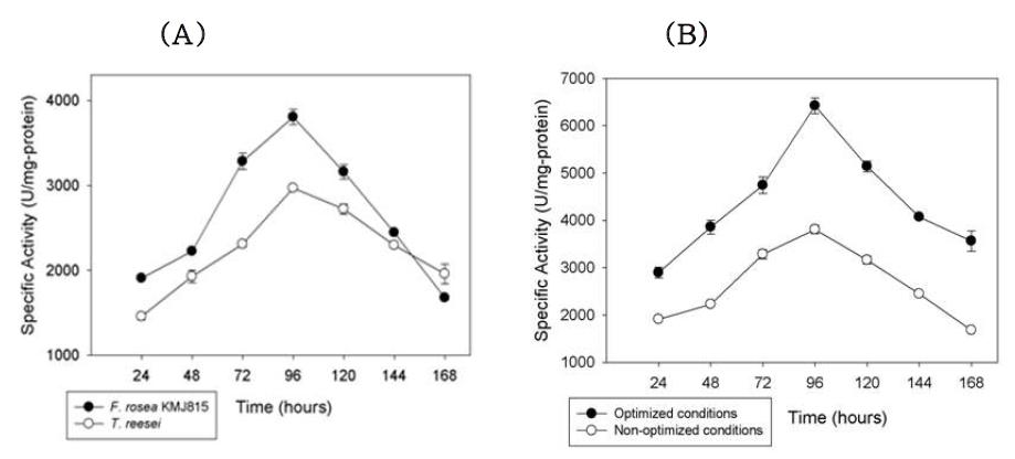 Activity of xylanase from F omitopsis rosea.