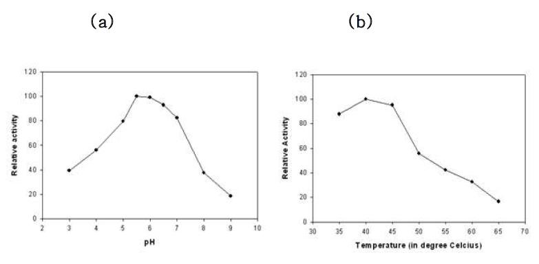 Effect of pH (a) and temperature (b) on the activity of Chxyn.