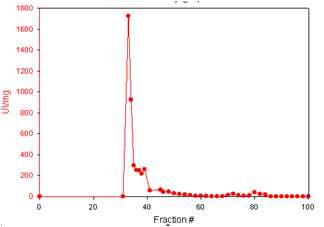 Purification of S. hirsutum BGL by gel filtration chromatography.
