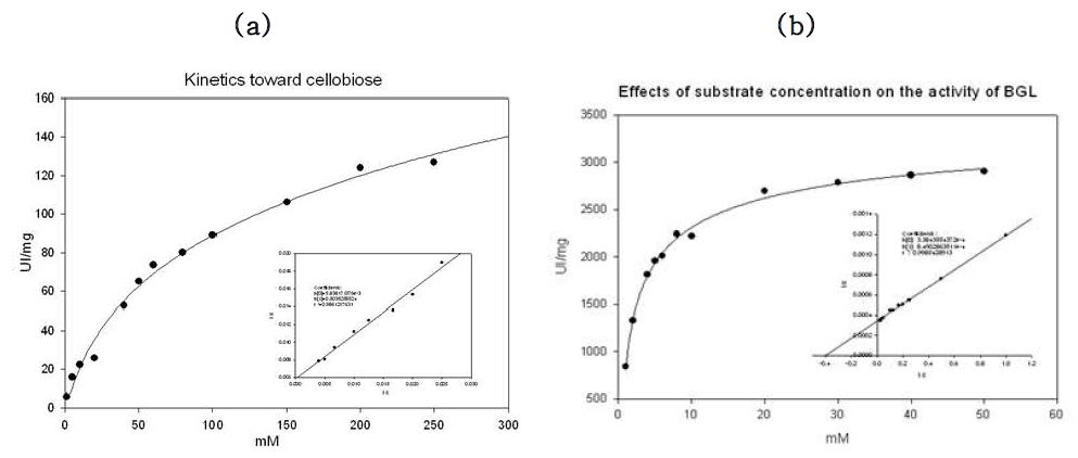 Effect of substrate concentration on the activity of ShBGL toward pNPG (a) and cellobiose (b).