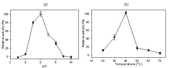a) Effect of pH on NfBGL activity. b) Effect of temperature on NfBGL activity towards pNPG (10 mM).