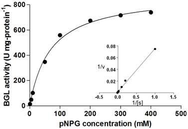 Effect of substrate concentration on the activity of NfBGL.