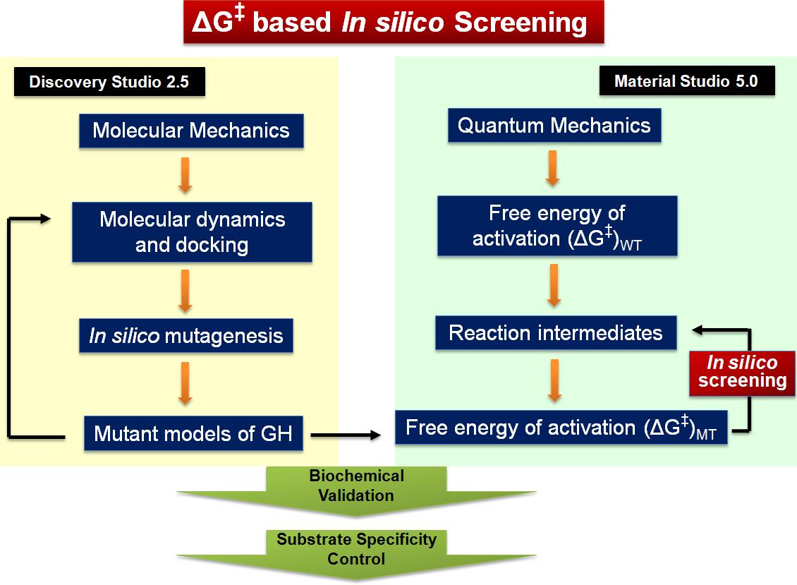 QM/MM 기법을 이용한 Kd 및 ΔG+ based in silico screening 시스템.