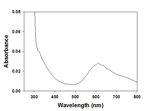 Absorbance spectrum of YlLac (0.5 mg ml ?1 in 50 mM sodium acetate buffer, pH 4.8).