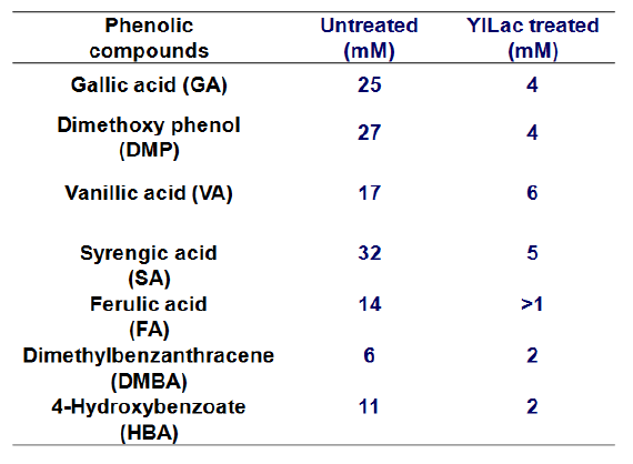 Detoxification of phenolic compounds by Y lLac