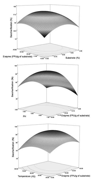 Response surface plots showing the relationships between independent variables in the conversion of cellulose to reducing sugars: (A) relationship between substrate and enzyme concentration; (B) relationship between enzyme concentration and pH; (C) relationship between enzyme concentration and temperature.