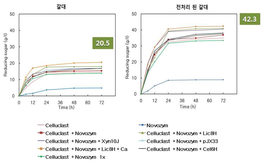 갈대 6% 및 증가된 상용효소 조건에서 당화 분석