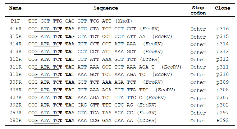 List of primers used in the study of cel5C gene of T. maritima