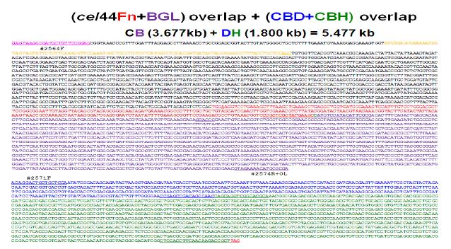 Nucleotide sequence of the fused enzyme (cel + bgl + cbh)