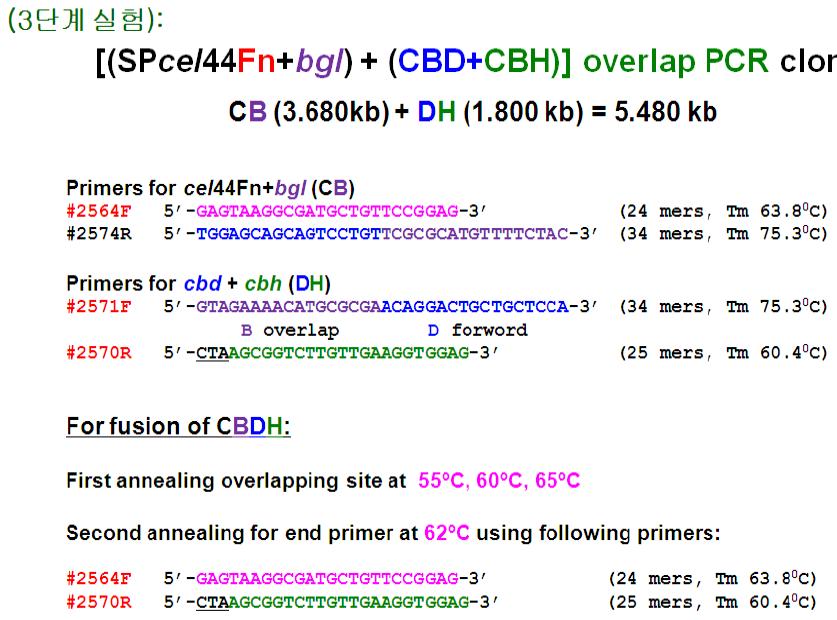 Overlap PCR for [(cel44+FN+bgl)+(cbd+cbh)] fusion