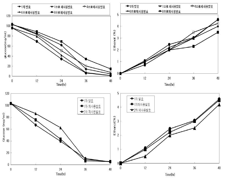 Effect of reusing immobilized Z . mobilis cells on glucose consumption and ethanol production (10% glucose containing medium)