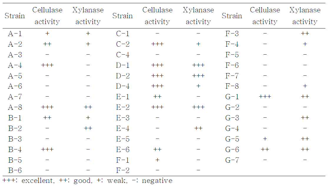 다양한 시료로부터 분리된 균주들의 cellulase 및 xylanase의 활성 측정 결과
