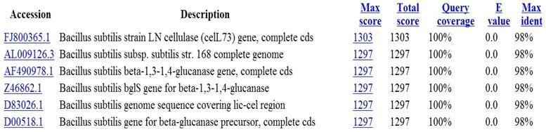 JK-L73 F/R primer와 분리균주 D1 cDNA의 PCR을 통해 얻어진 cellulase 유전자의 NCBI blast search 결과.