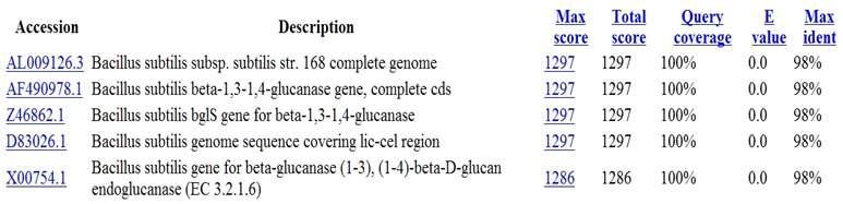 JK-L73 F/R primer와 분리균주 E2 cDNA의 PCR을 통해 얻어진 cellulase 유전자의 NCBI blast search 결과.
