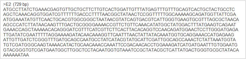 JK-L73 F/R primer와 분리균주 E2 cDNA의 PCR을 통해 얻어진 cellulase 유전자의 염기서열.