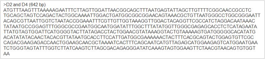 JK-Xyn F/R primer와 분리균주 D2와 D4 cDNA의 PCR을 통해 얻어진 xylanase 유전자의 염기서열.