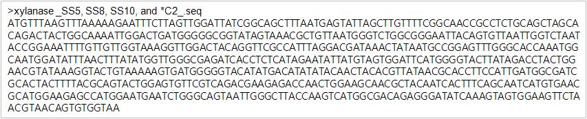 JK-Xyn F/R primer와 분리균주SS5, SS8, SS10, *C2. cDNA의 PCR을 통해 얻어진 xylanase 유전자의 염기서열.