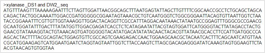 JK-Xyn F/R primer와 분리균주DS1과 DW2 cDNA의 PCR을 통해 얻어진 xylanase 유전자의 염기서열.