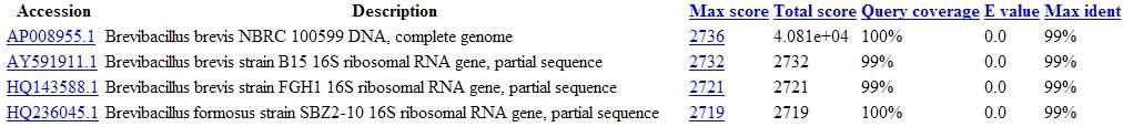 분리균주 SS5의 16s rDNA 염기서열의 NCBI blast search 결과.