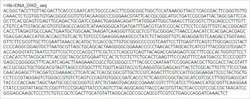 분리균주 DW 2의 16s rDNA 염기서열.