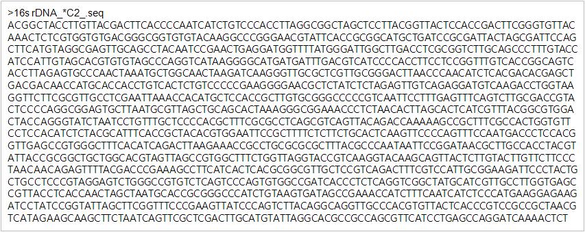 분리균주 *C2의 16s rDNA 염기서열.