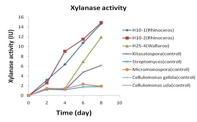 초식동물 배설물에서 분리한 섬유소 분해 우수균주의 xylanase 효소 활성