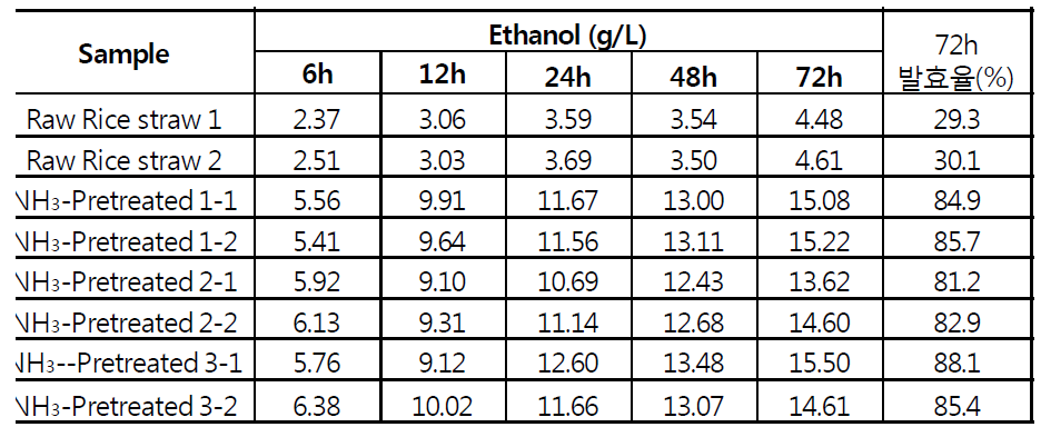 동시당화발효(SSF)의 발효시간에 따른 에탄올 생산량 변화