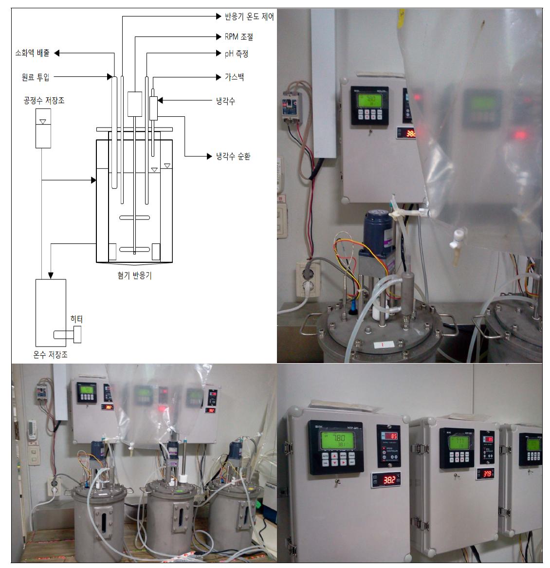 CSTR형 Lab 규모 혐기반응기 설치 (반응기 용량 : 5L)