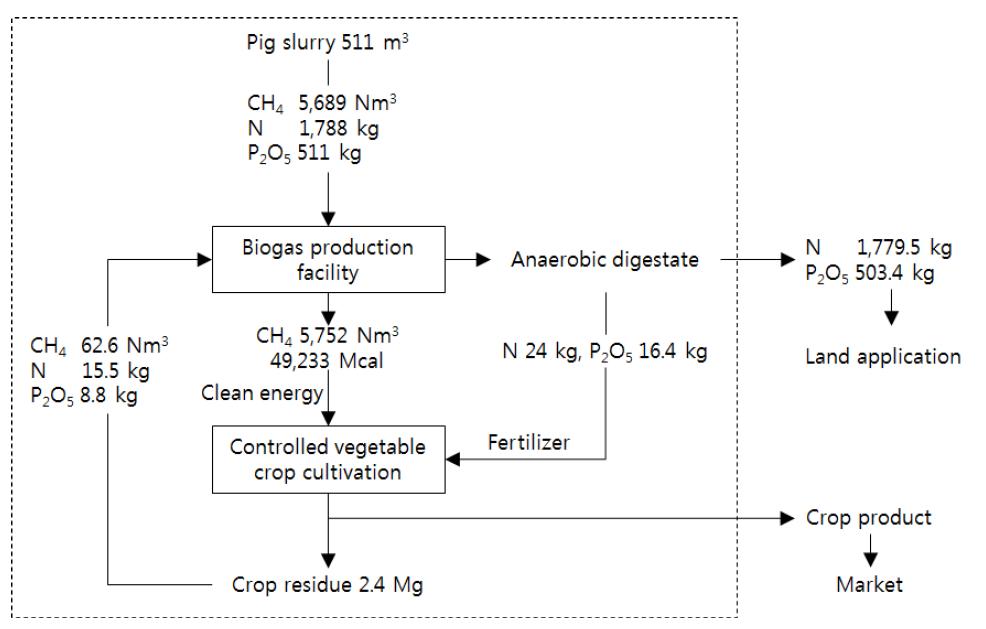 Mass and energy balance of the clean energy farming system in the forcing cultivation of the controlled cultivation system.