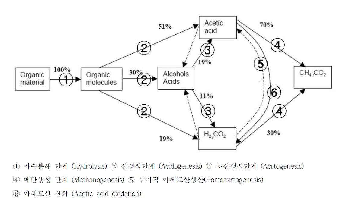 혐기소화 생산 메커니즘