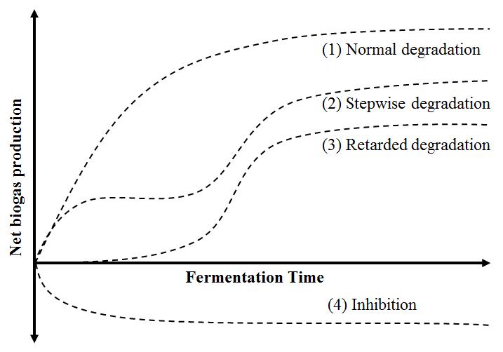 Typical shapes of biochemical methane producing curve.