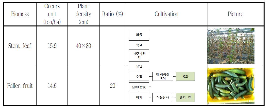 Cucumber cultivation process and biomass produced