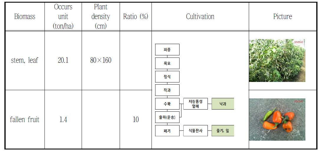 Paprika cultivation process and biomass produced