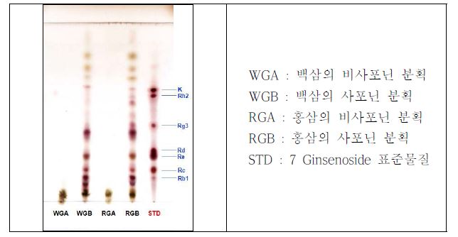 그림 1. 백삼과 홍삼의 사포닌 및 비사포닌 분획물의 TLC 패턴